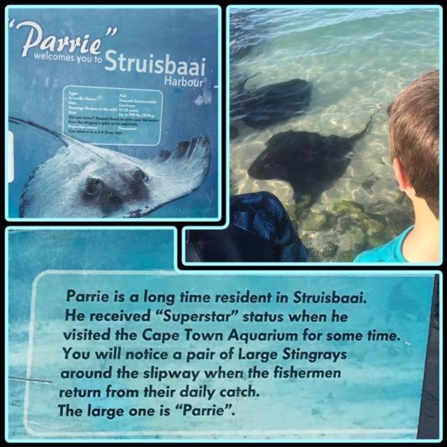 C-Pampoentjie Apartment Struisbaai Luaran gambar
